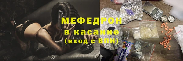 хмурый Аркадак