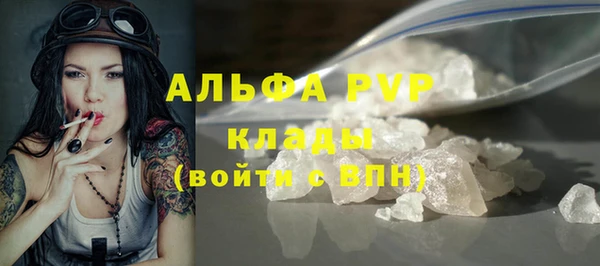 хмурый Аркадак