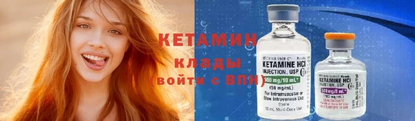 хмурый Аркадак