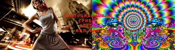 герыч Арсеньев