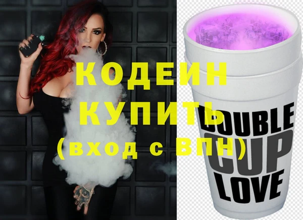 хмурый Аркадак
