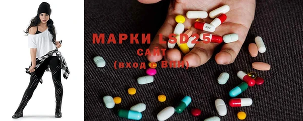 хмурый Аркадак