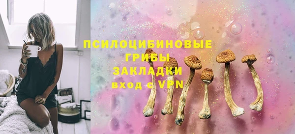 герыч Арсеньев