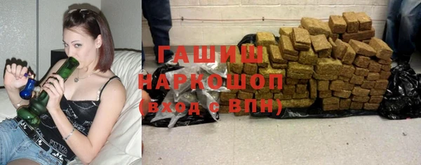 хмурый Аркадак