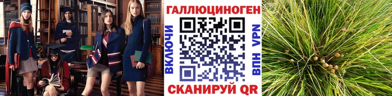 Галлюциногенные грибы MAGIC MUSHROOMS  Купить где  Псков 